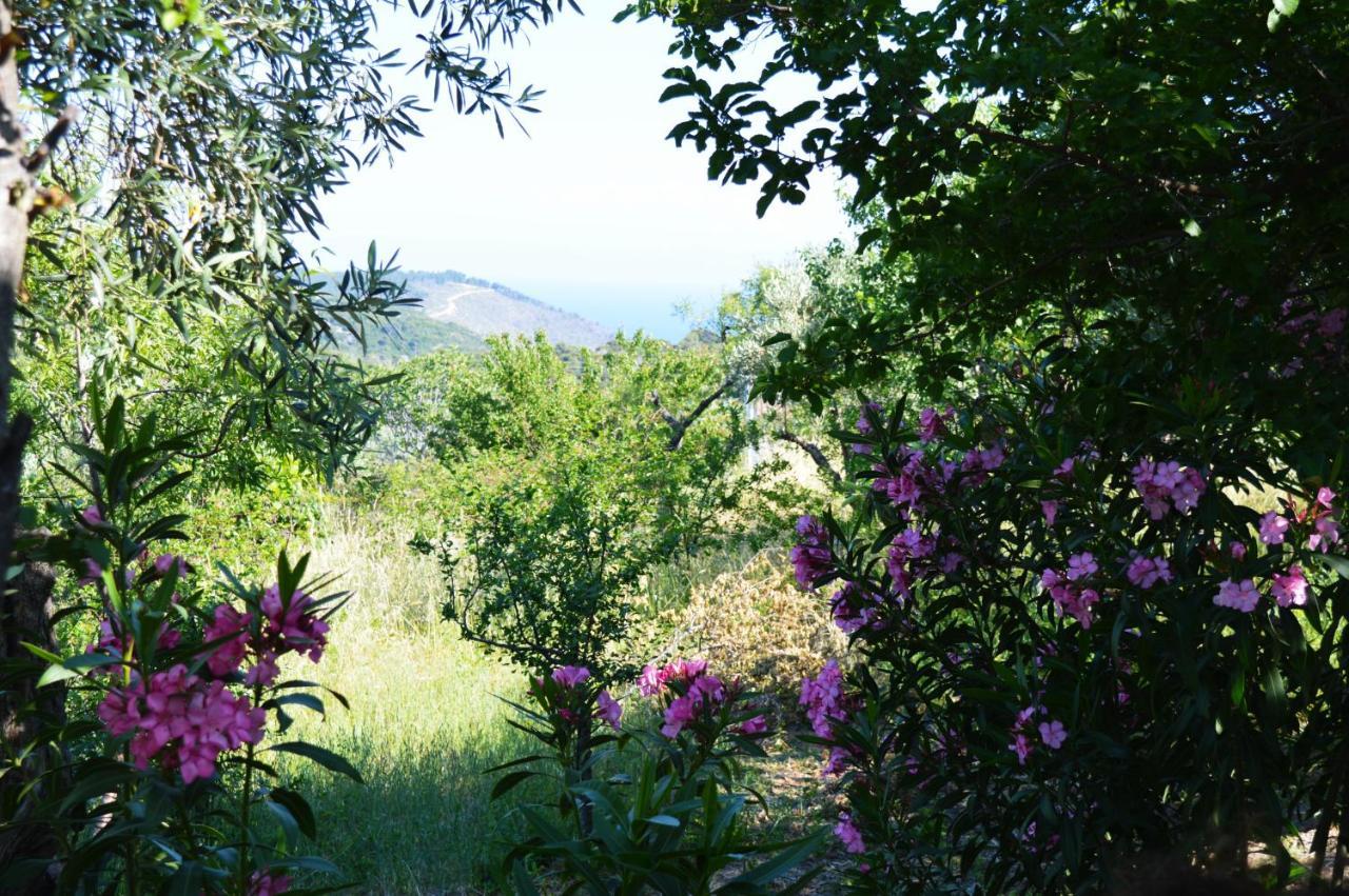 Alikias Country House Panormos  Exterior photo